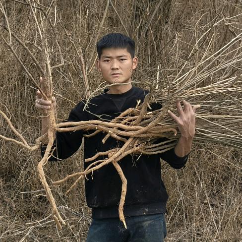 玉盛药汇-小冯