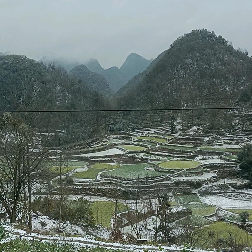 子钰的明天