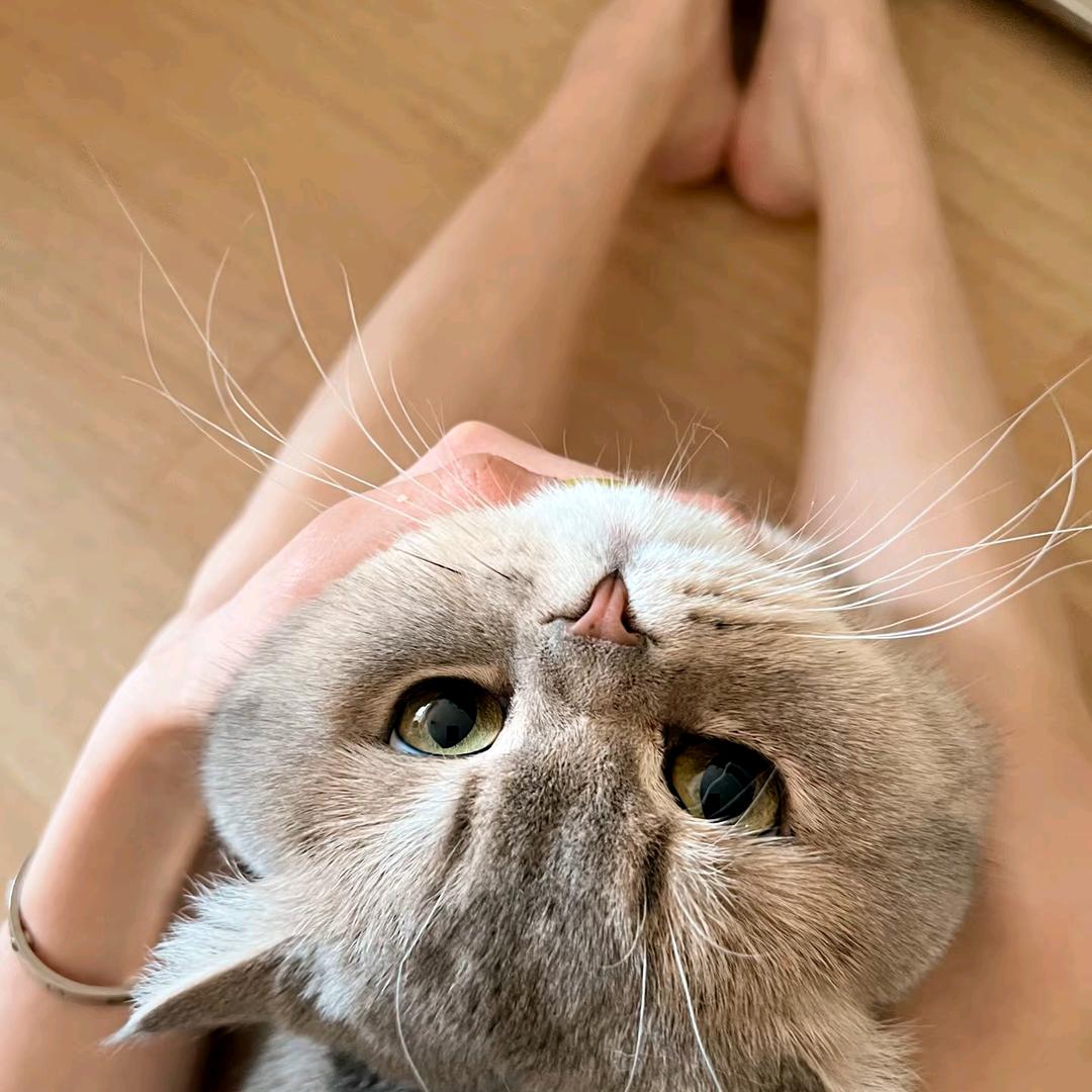 阿UU（离婚带1个