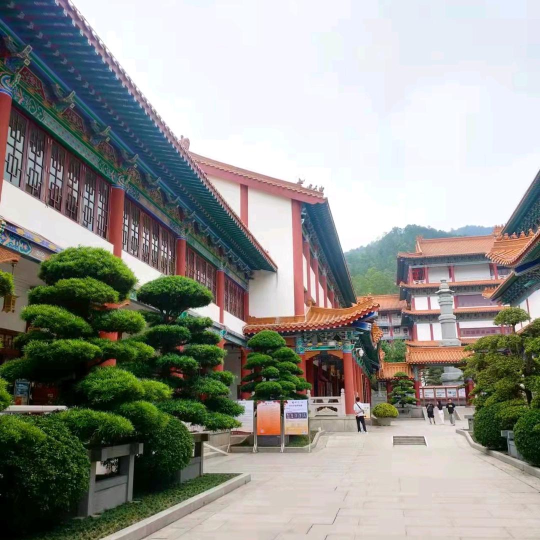 无悔的追求
