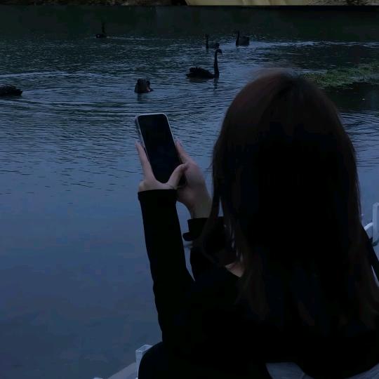 不吃-香菜