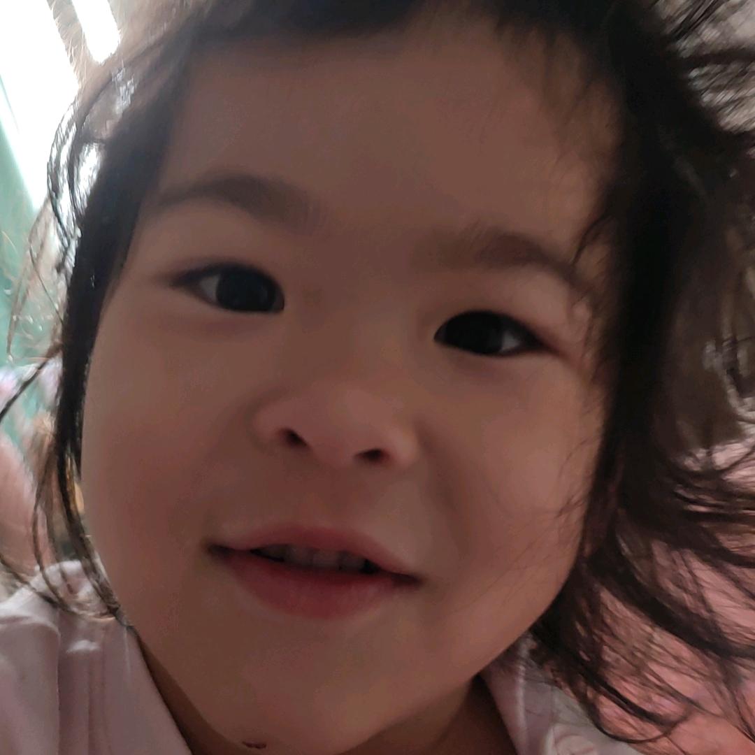 王发凤