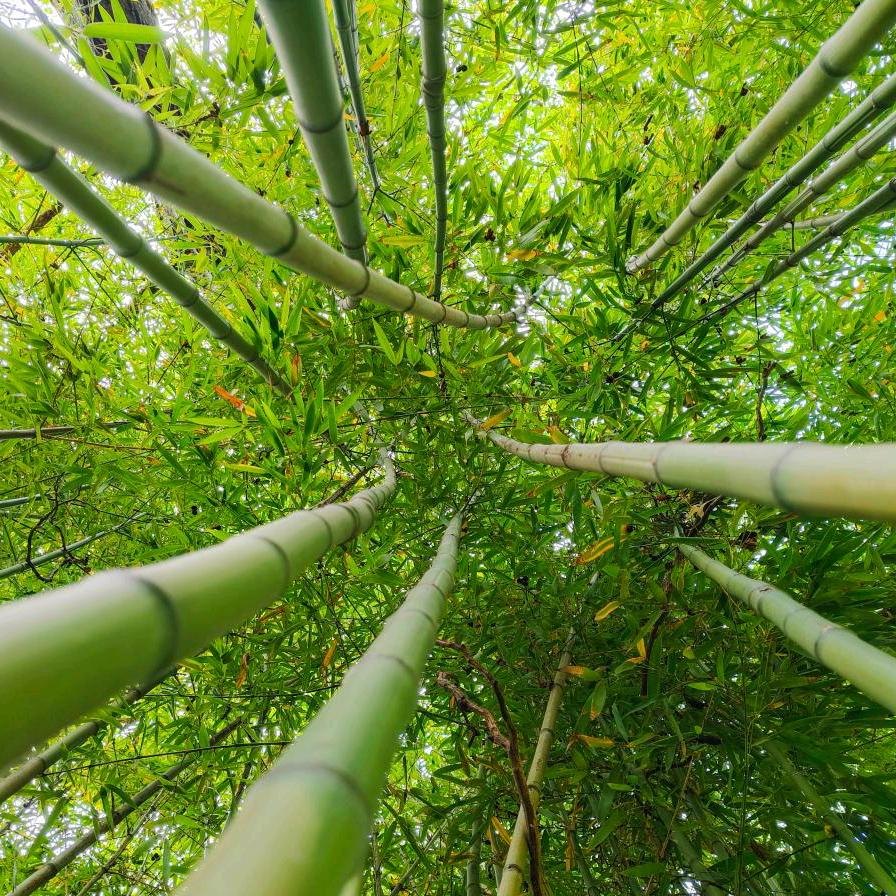 冰封的邮戳