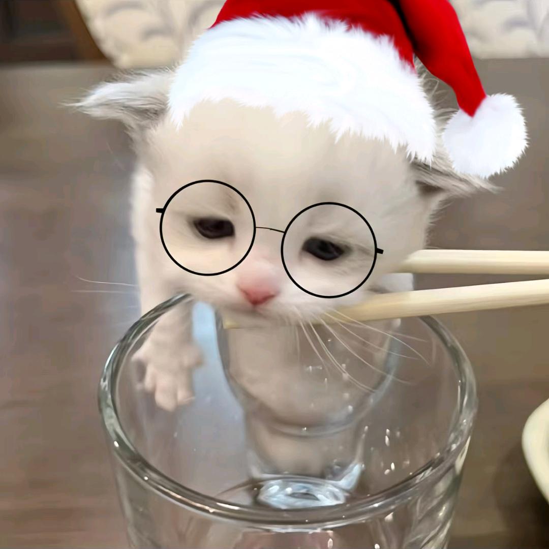 魚豆豆