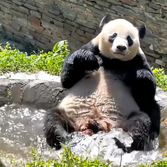 余生爱自己