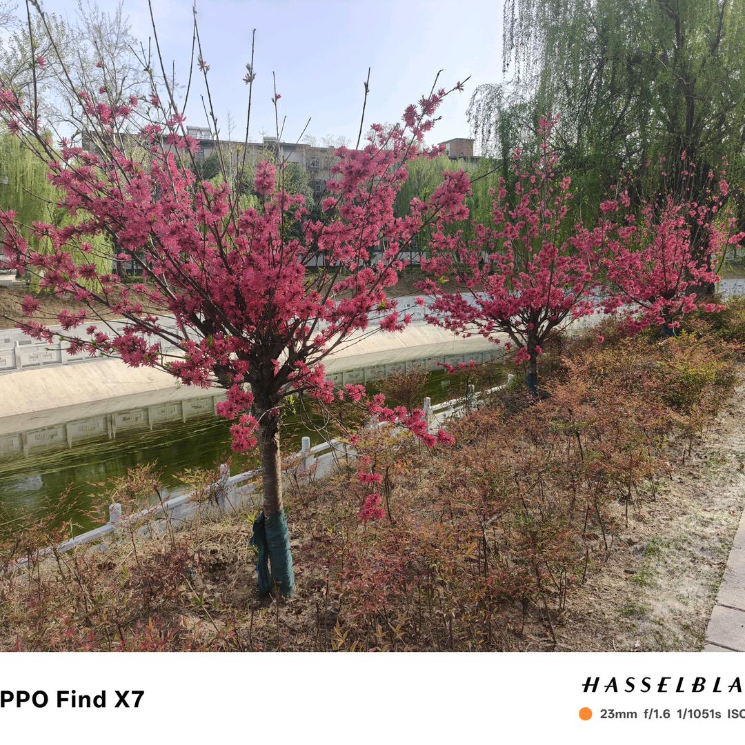 八零的我们己变老