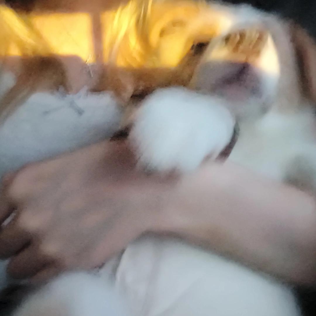 芥艿吧唧一大口