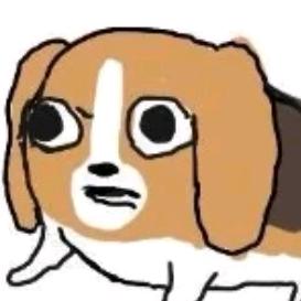 抱着冰块的猫咪