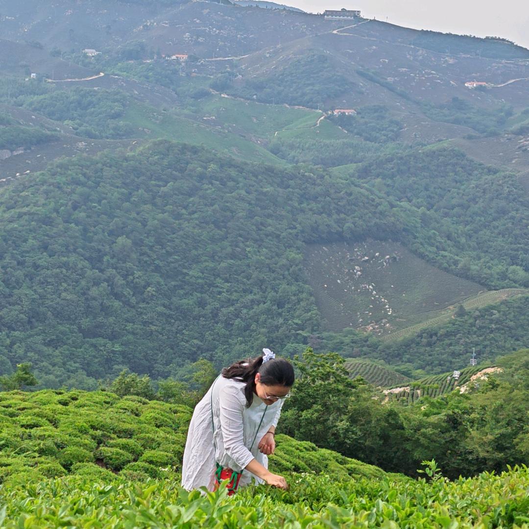 弥香茶韵坊
