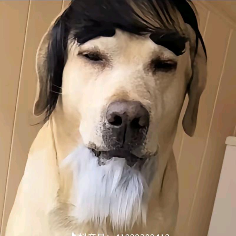 小芋圆奶绿三分糖