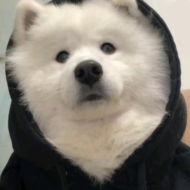 天外来物了了了了了