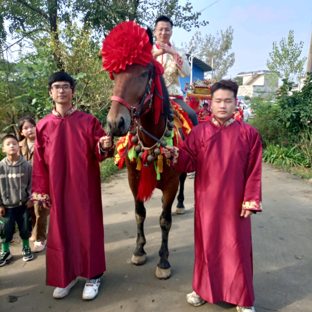 南阳市靳岗跑马场🏇
