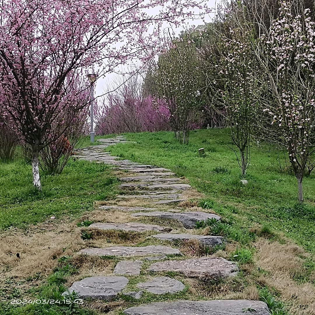 ♞八⃝♧九⃝☆不⃝♬离⃝※食⃝♥