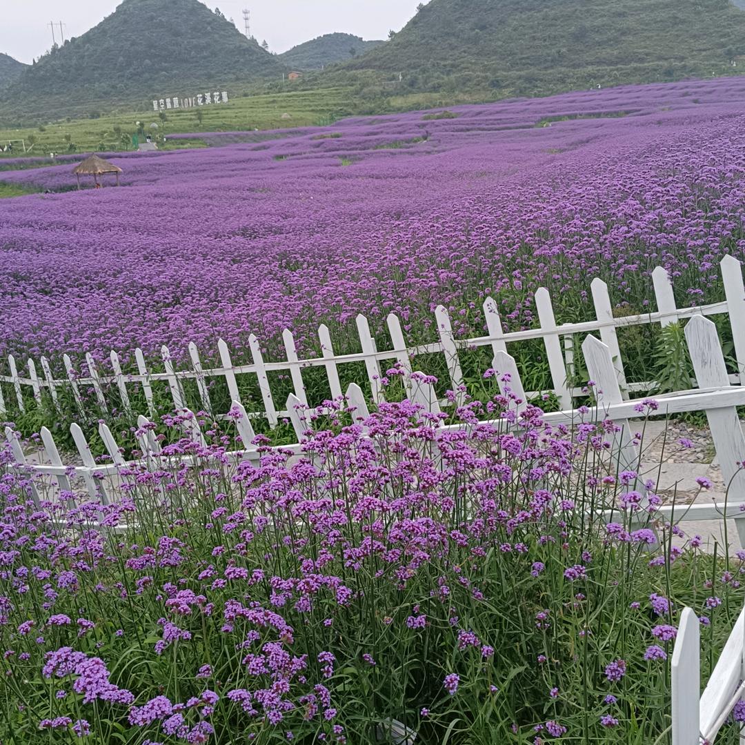 得之我命，失之我幸