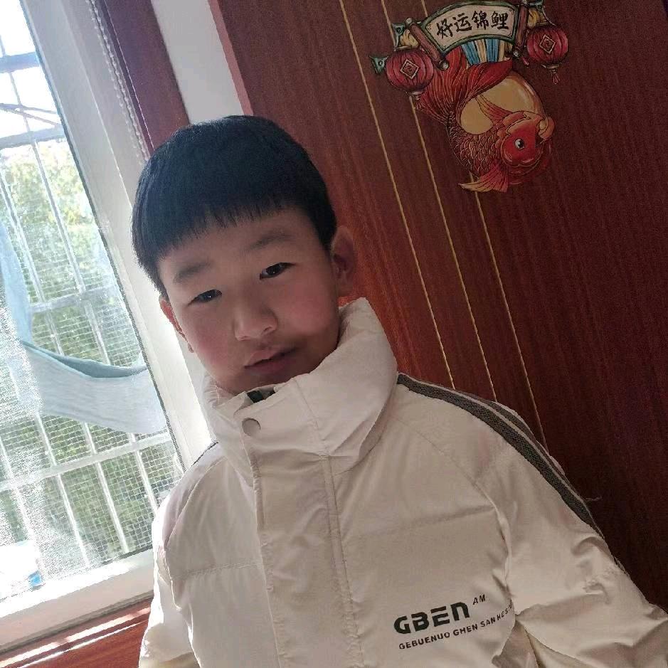龙仔仔