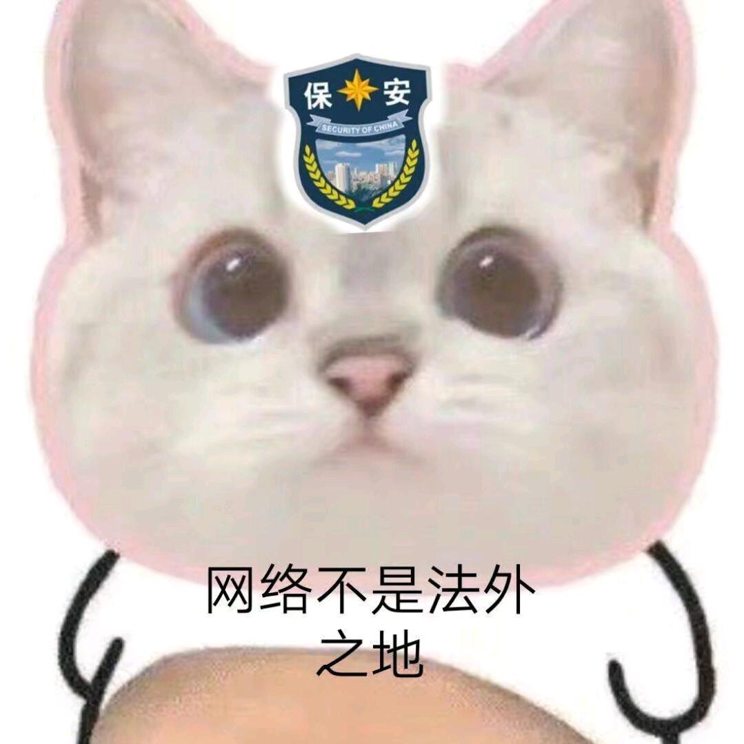 冬梅暖阳下