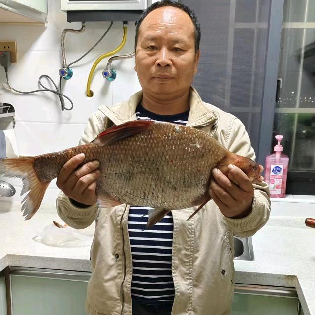 爱钓鱼，天天空军。唐