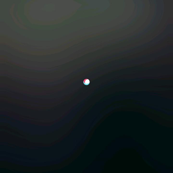 _梦想成真