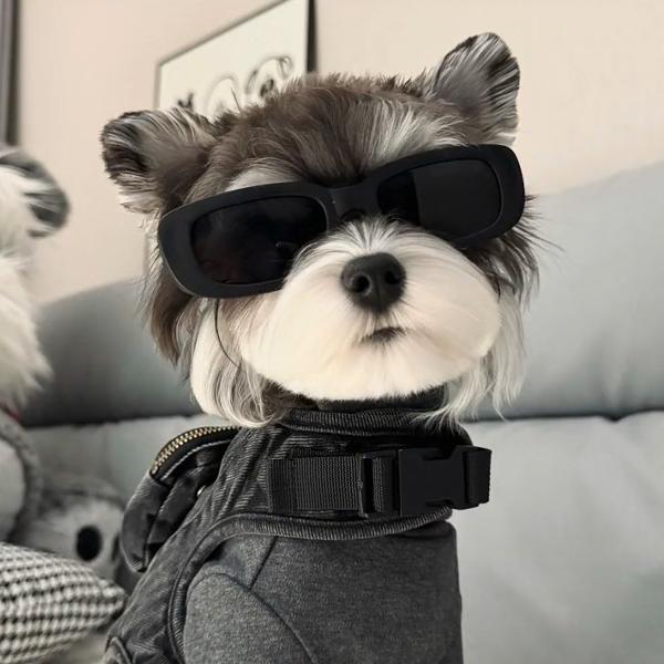 不会落山的太阳