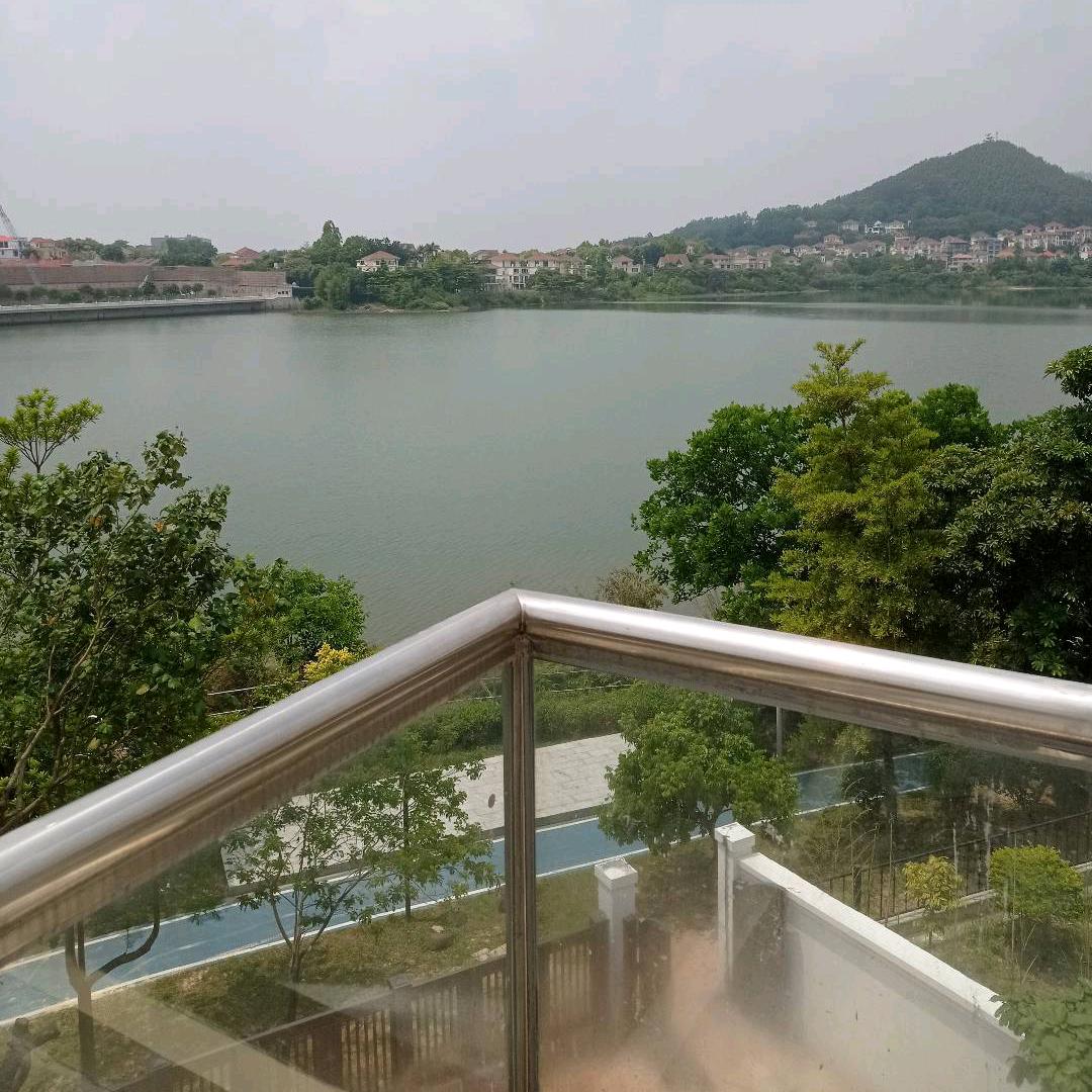 与你同行