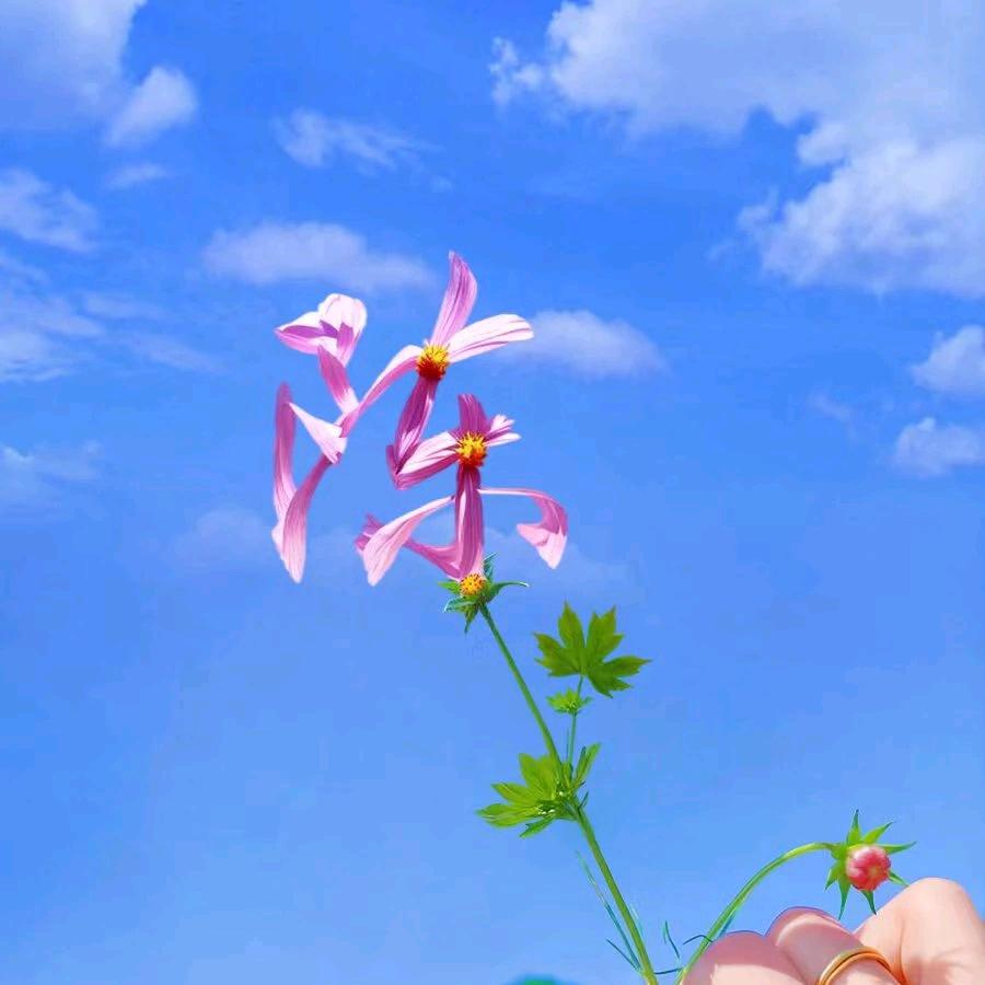 🍃💔您的世界💔我退出💔🕊️🍃