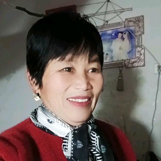 山东苗姐