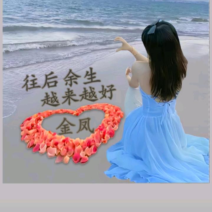 金凤