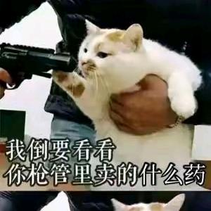 猫氏柠檬糖