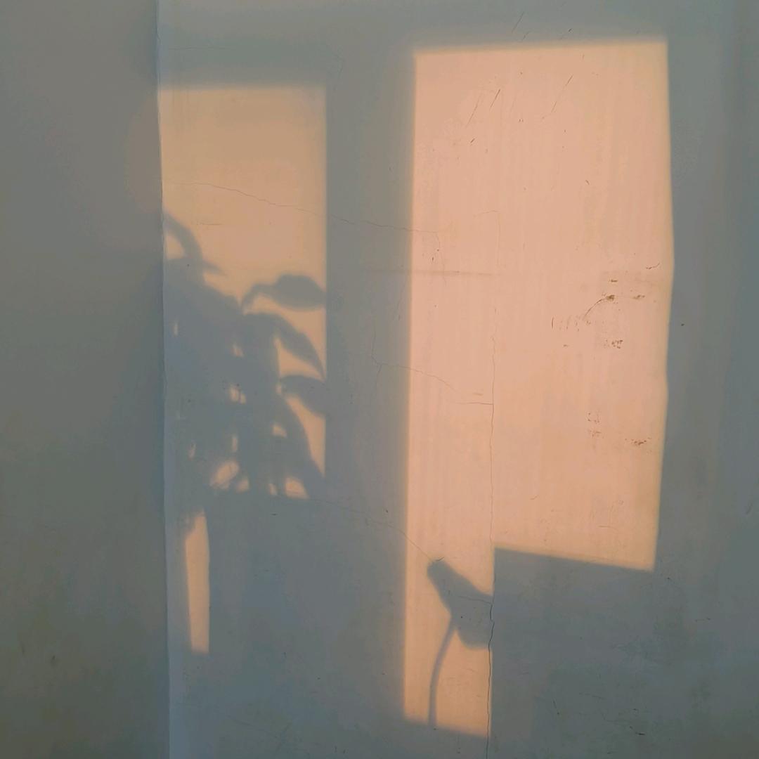 一块枣糕