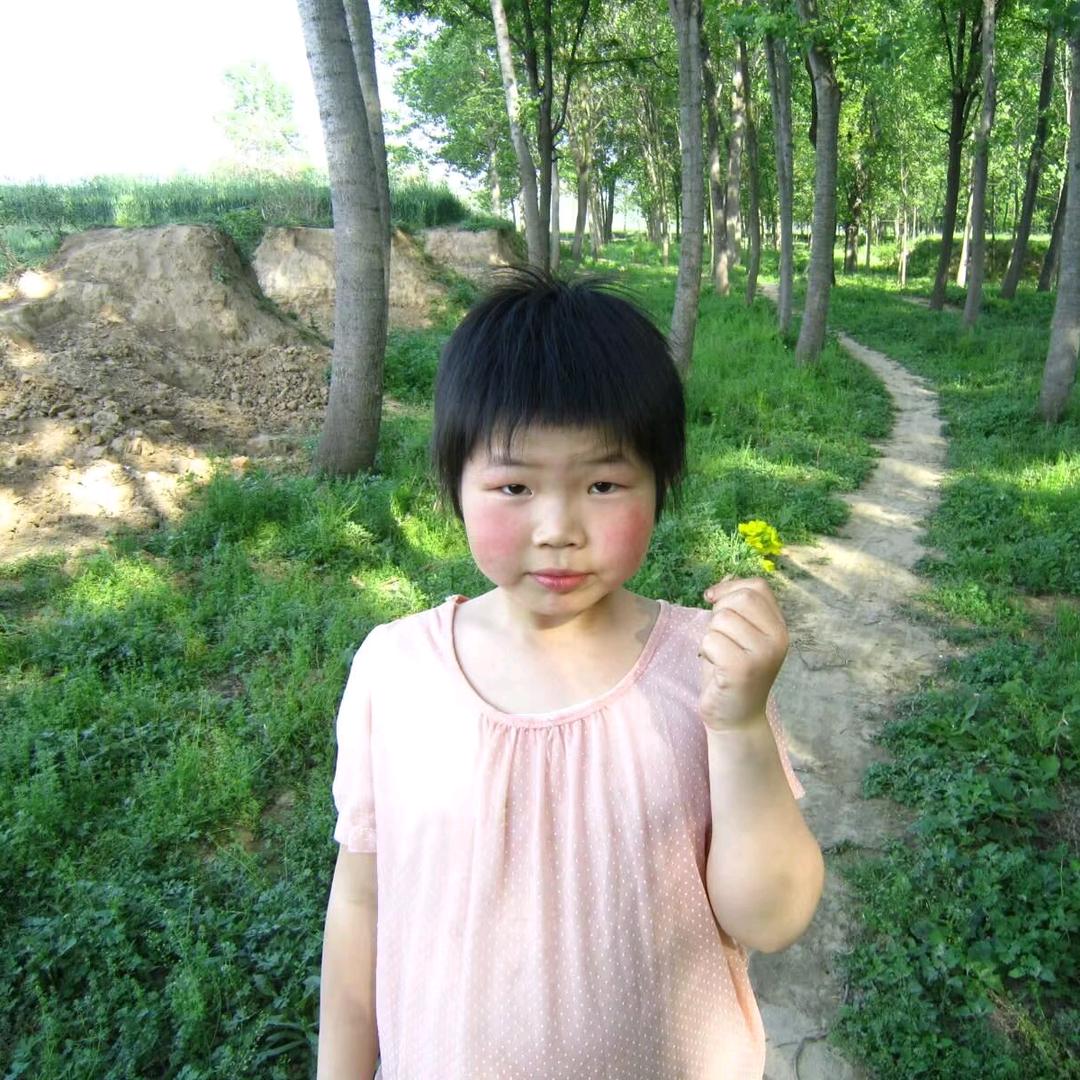 大王统治世界