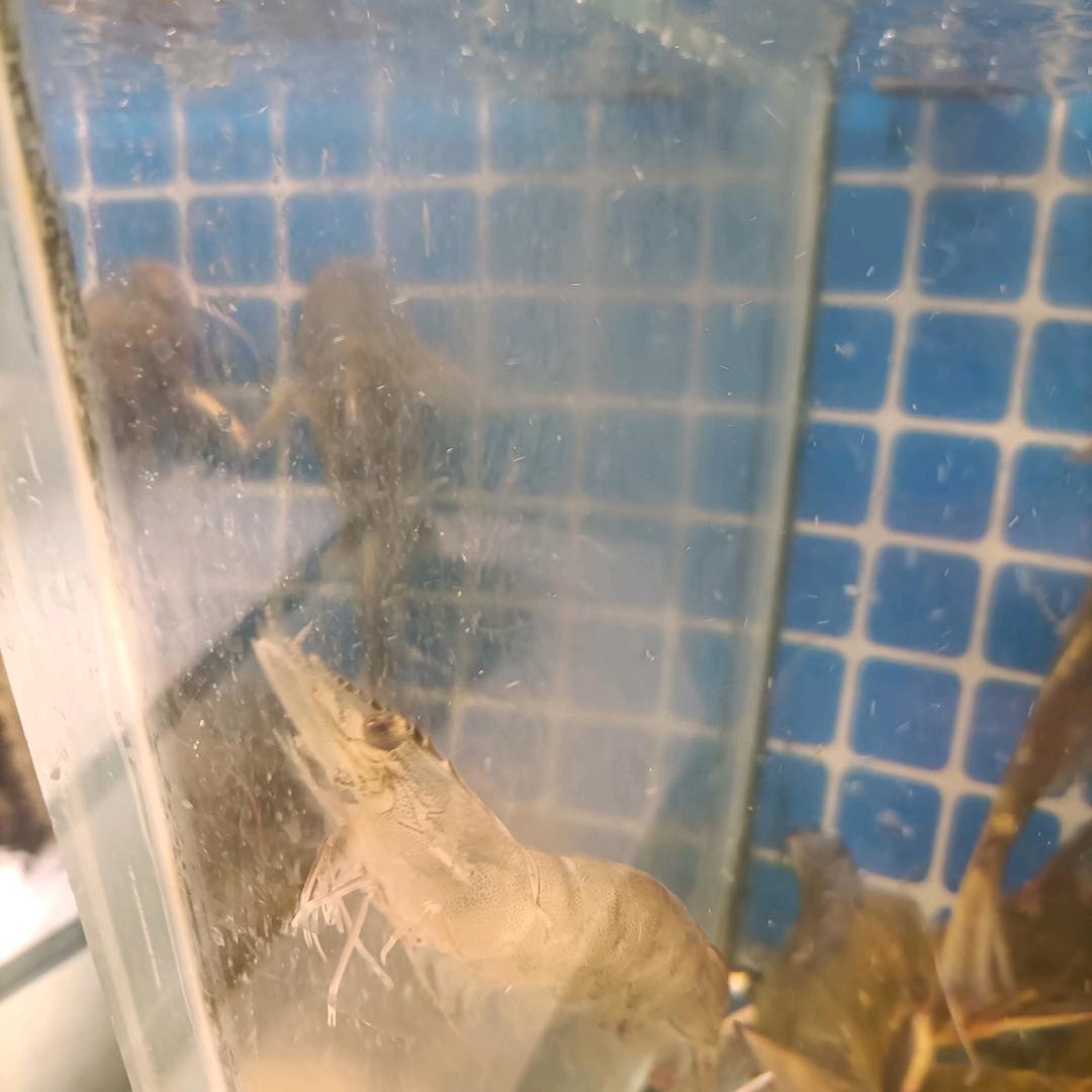 1加1