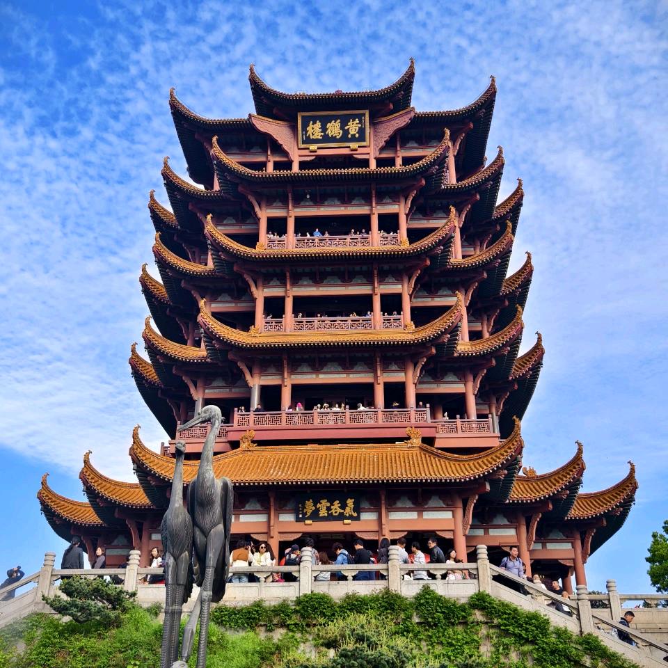 团团