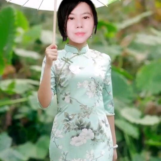 森林凤凰261561