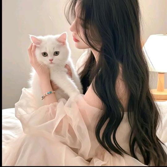 招财喵罐头