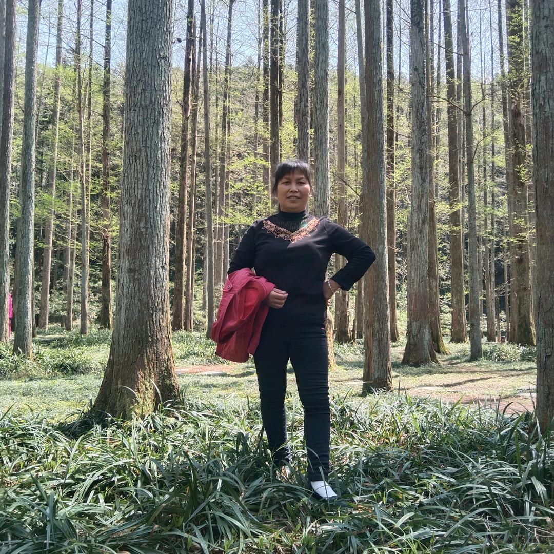 粟