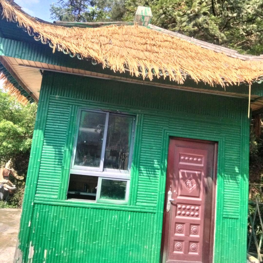 一往情深