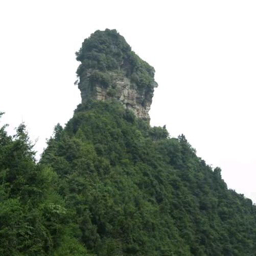 开开心心每一天