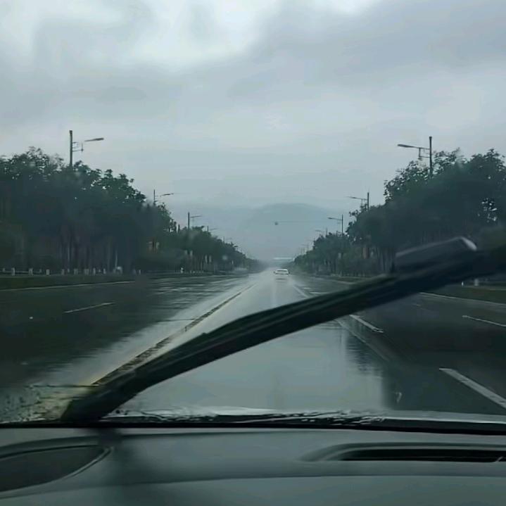 你是我的唯一