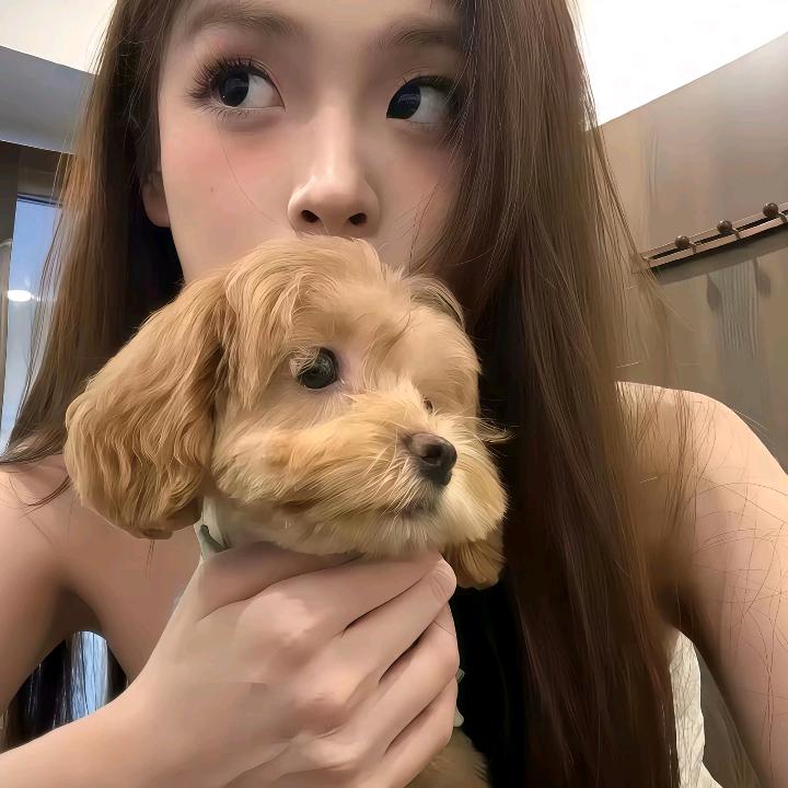 蛋挞大王