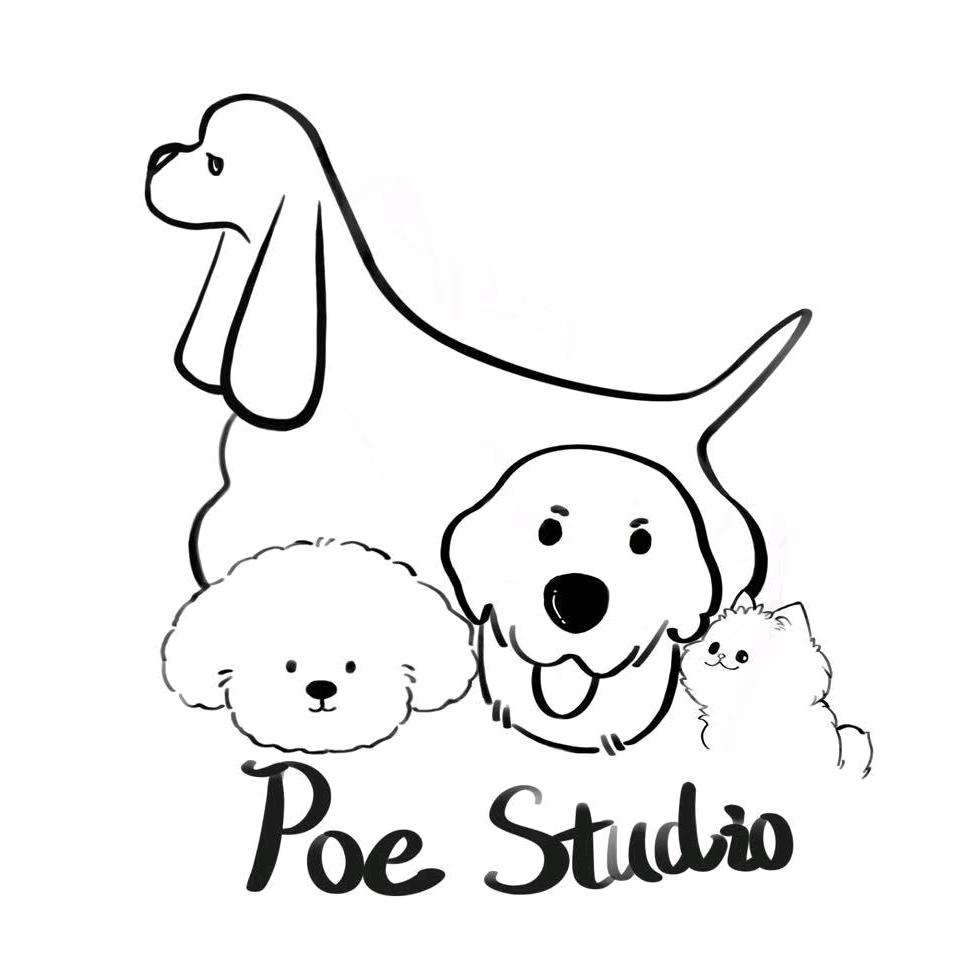 Poe达芙妈妈