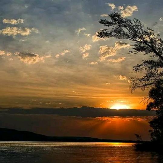 （。·ω吴心陈佛ω·。）