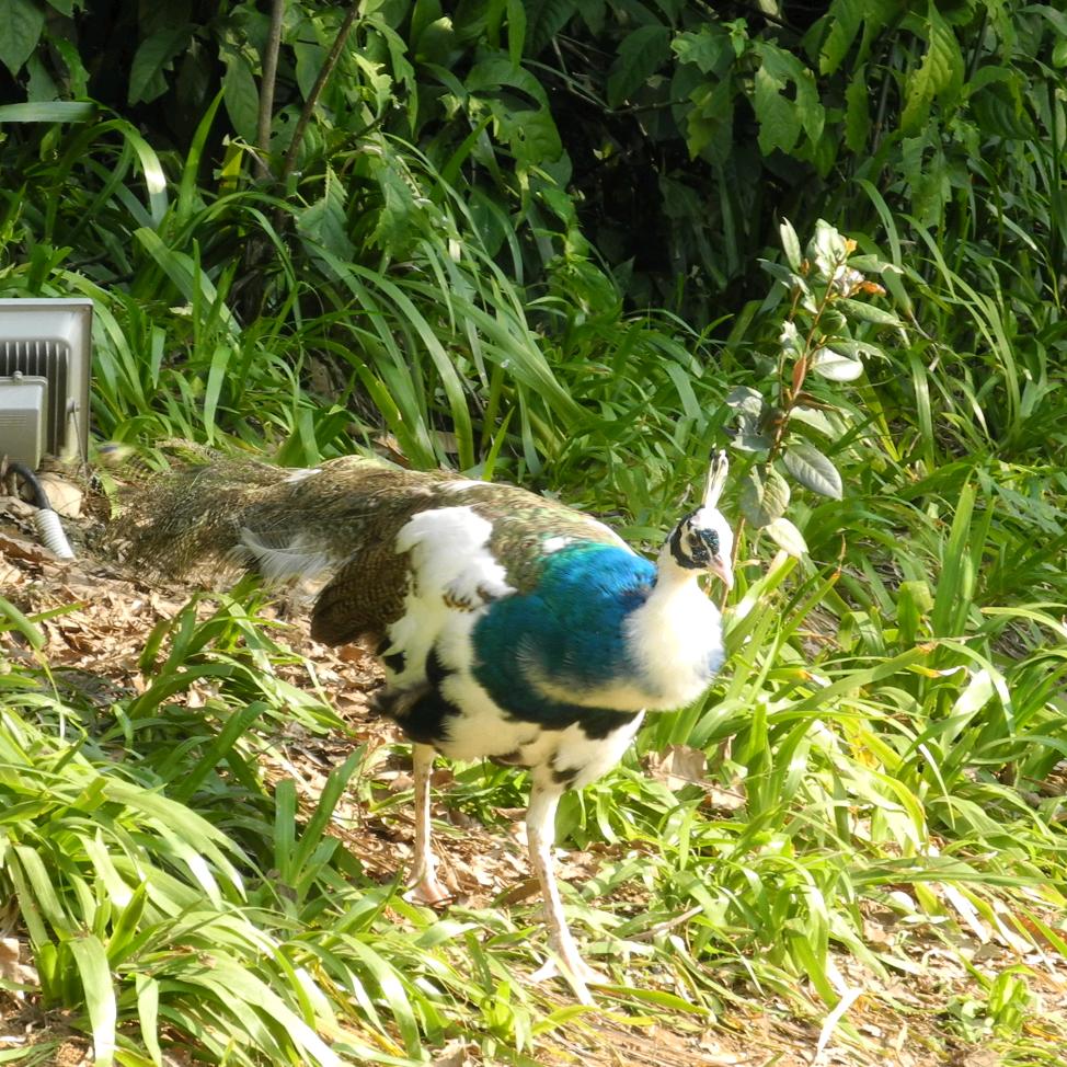 Doudoudot～🌈🌈