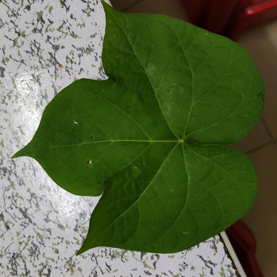 🙈🙈🙈🙈🙈🙈