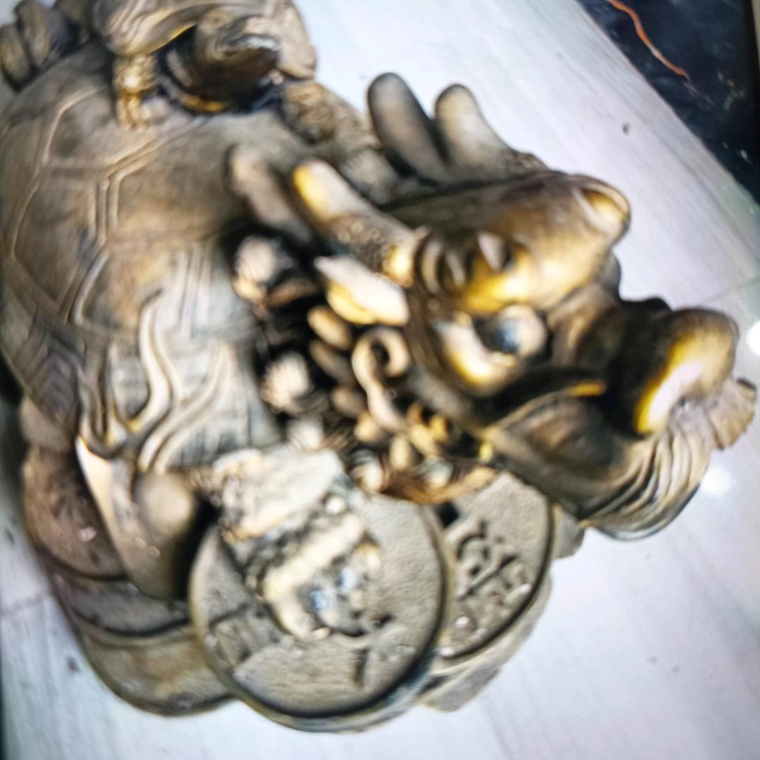 湘龙大🐉农村养鸡