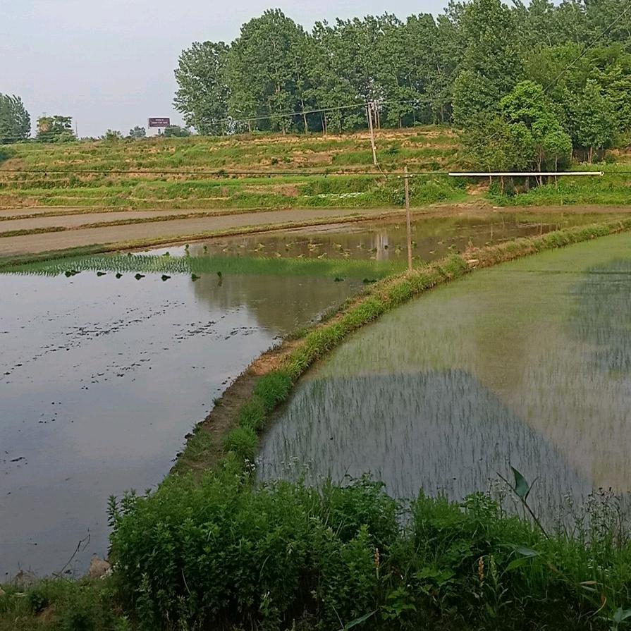 江南八怪☀️ ⁷²⁹勤舒农场