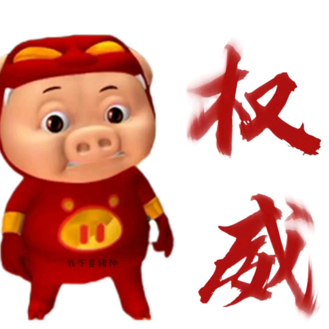 猪猪侠（王者）