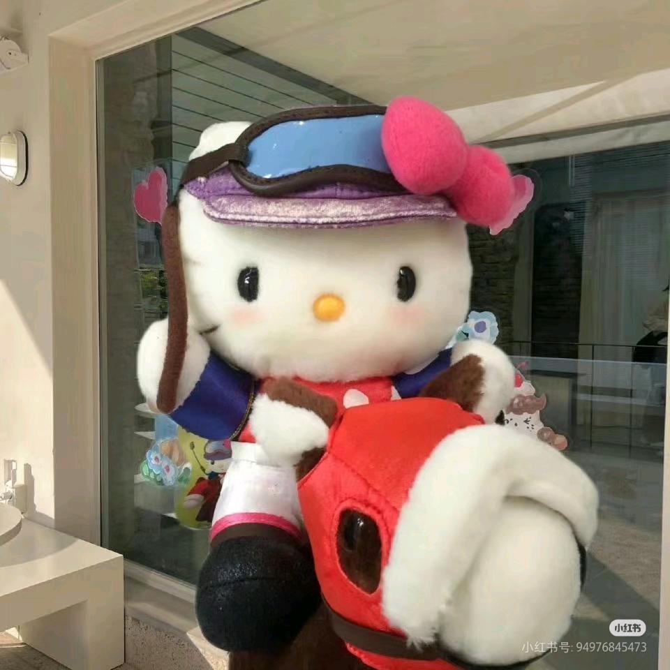 大乔会做脸