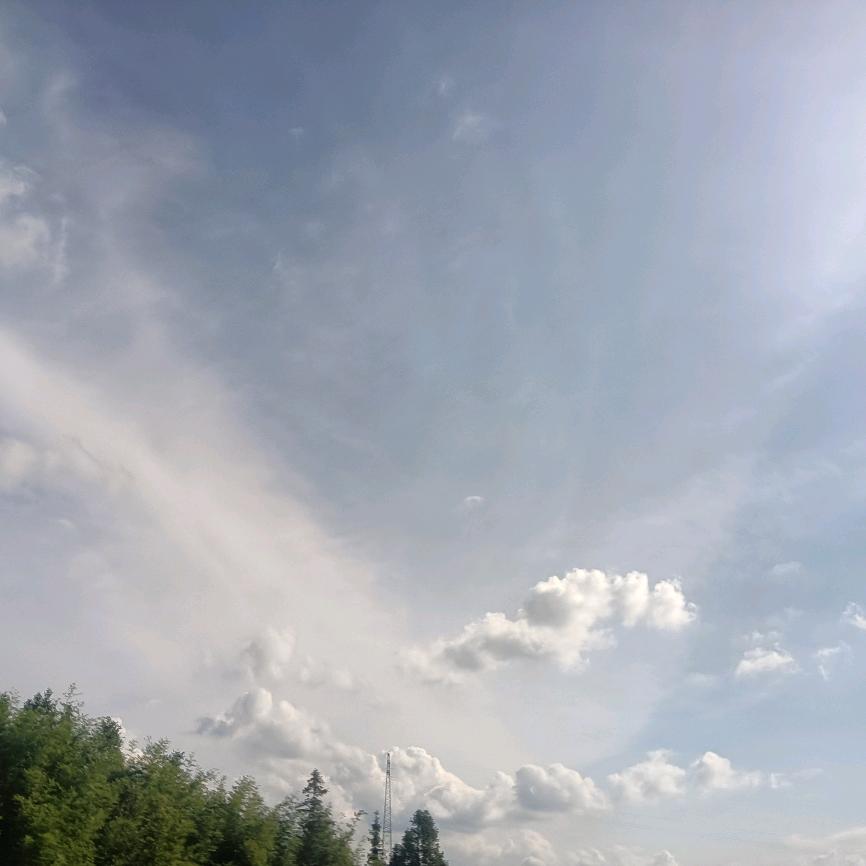 凤天祥瑞照大地