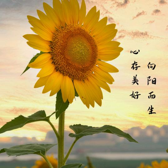 小美满