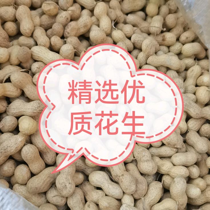 张荣志